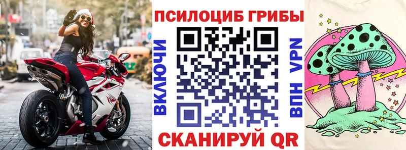 Купить закладки  Арсеньев  Галлюциногенные грибы GOLDEN TEACHER 